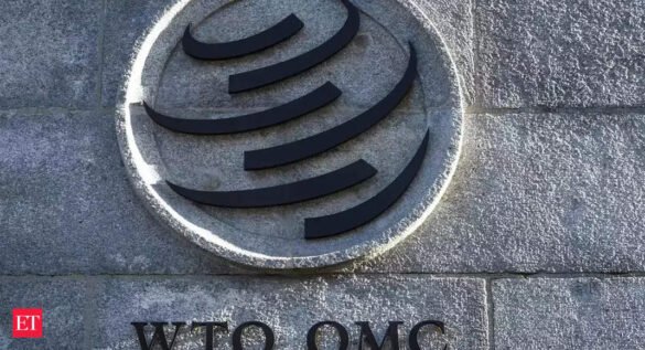 World Trade Organization: Developing nations wary of new issues
