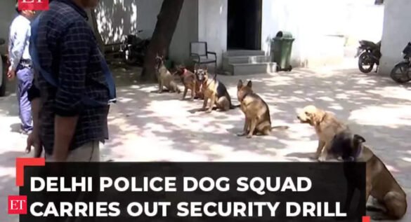 G20 Summit: Delhi Police Dog Squad carries out multi-layer security drill, watch!