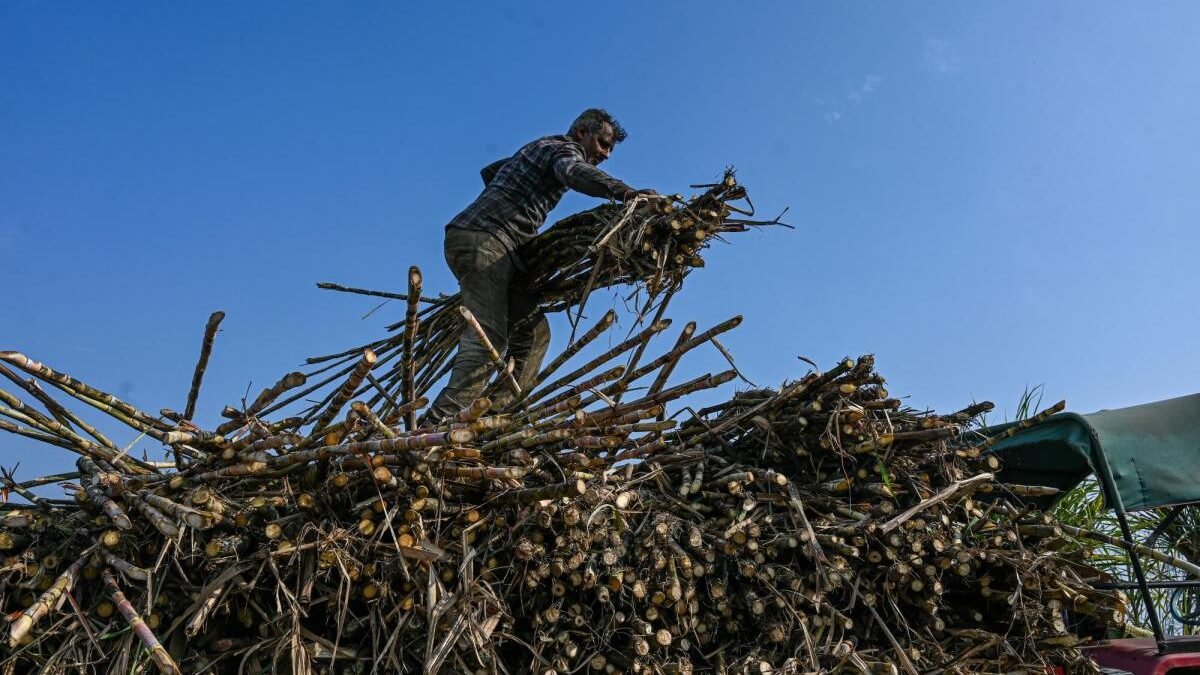 India Extends Sugar Export Curbs in Risk to Global Supply