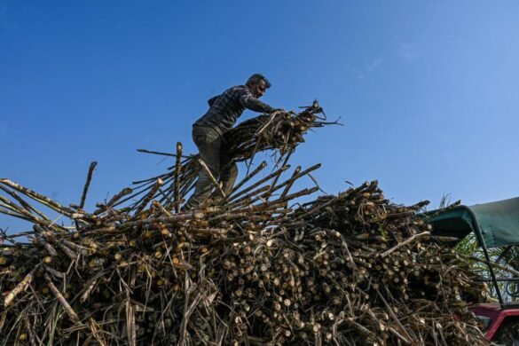 India Extends Sugar Export Curbs in Risk to Global Supply