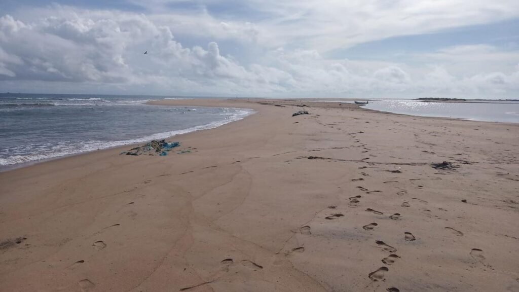 Wildlife board grants nod for training walls at Pazhaverkadu estuary to stabilise bar mouth