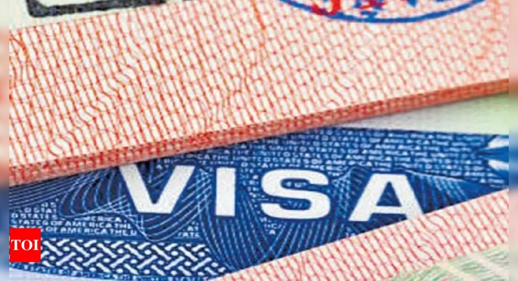 Official: US to begin domestic work visa renewal from December