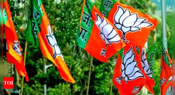 BJP’s second line of leaders played their part to perfection