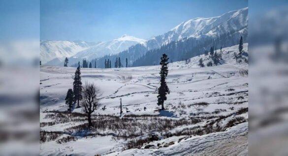 J&K: Upper reaches and Gulmarg finally receives first snowfall of the season