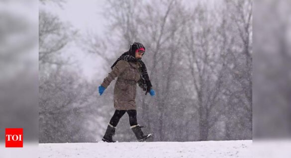 Winter storm in US Northeast disrupts flights, schools