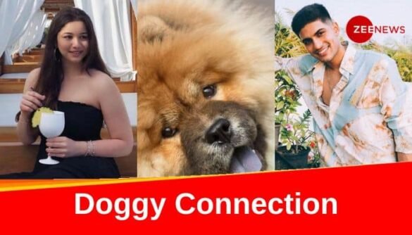 Are Shubman Gill And Sara Tendulkar Confirming Their Relationship? Netizens Find Clues In Latest Pet Pictures