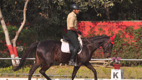 National Equestrian Championship Begins In New Delhi