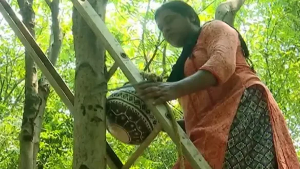 Transgender going extra mile to protect birds and animals from scorching heat in Odisha’s Angul