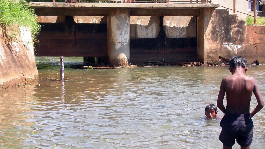 Surplus water from Pechiparai dam released in Tamirabharani river, says Kanniyakumari Collector