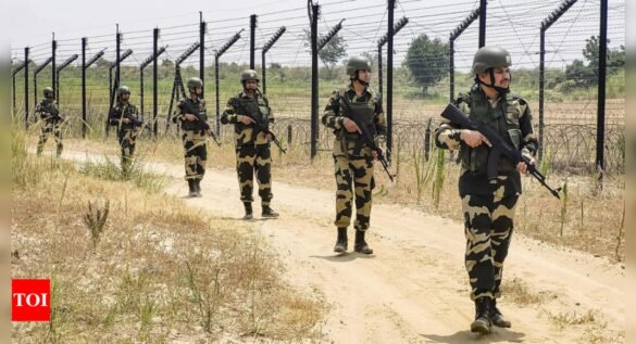 Indian woman, minor son handed over to BSF after release from jail for illegally entering Pak: official