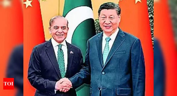 India slams Pakistan and China for Jammu & Kashmir reference