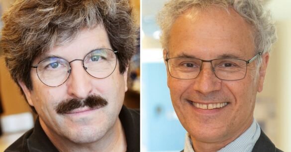 Nobel Prize In Medicine Honors American Duo For Their Discovery Of MicroRNA