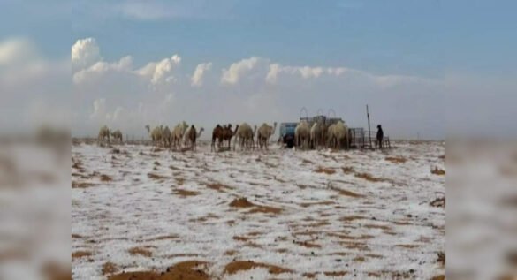 Saudi Arabian desert sees snowfall for the first time in history