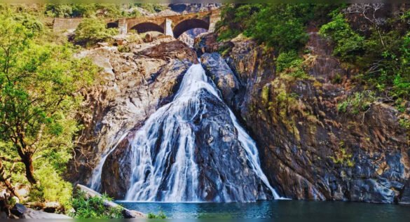 Dudhsagar Waterfall tours finally resume – 5 reasons to include this on your Goa itinerary