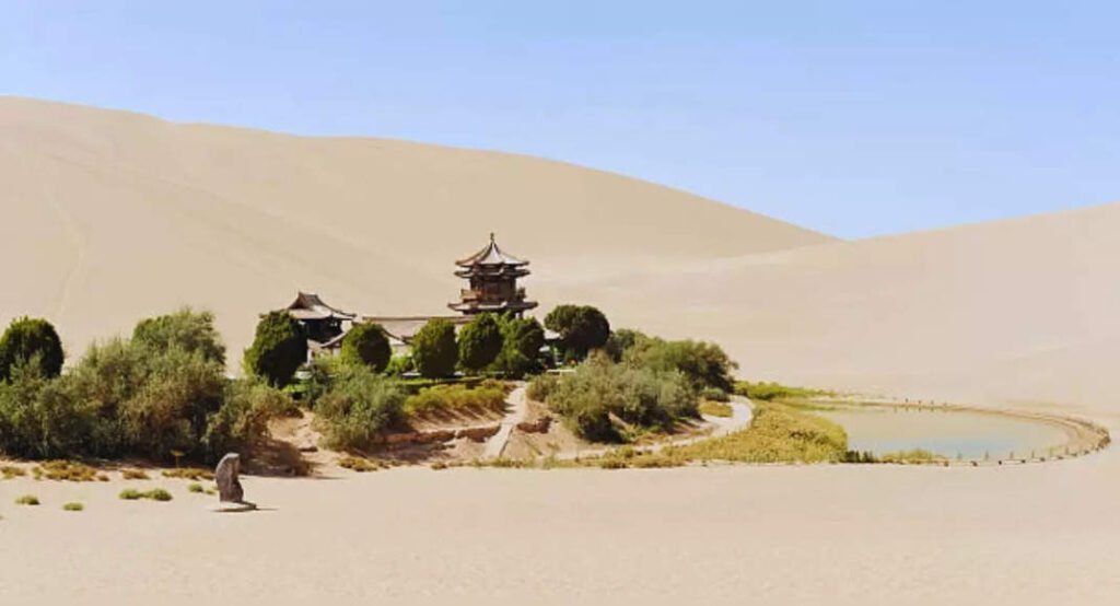 China’s Great Green Wall: 46 years of planting trees around Taklamakan Desert