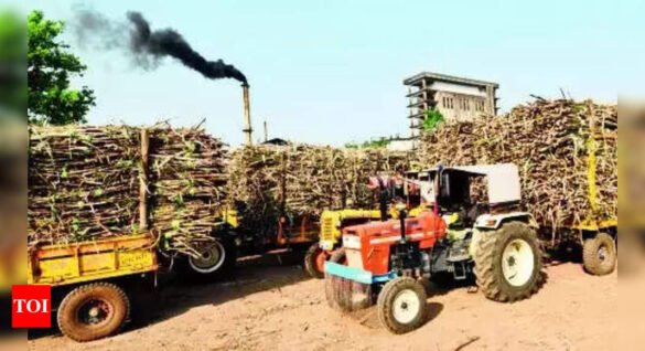 Karnataka: Farmer leader to move HC over sugarcane bills delays