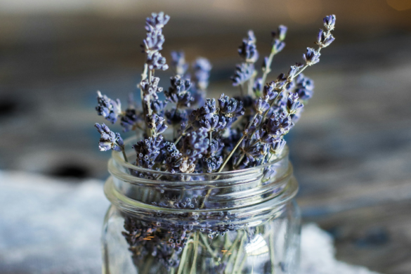 The lure of lavender