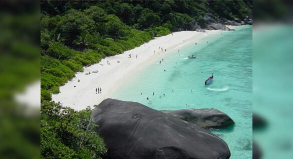 Tourist stumbles upon ‘sea of poop’ at Thailand’s Full Moon Party Beach, shocking video surfaces