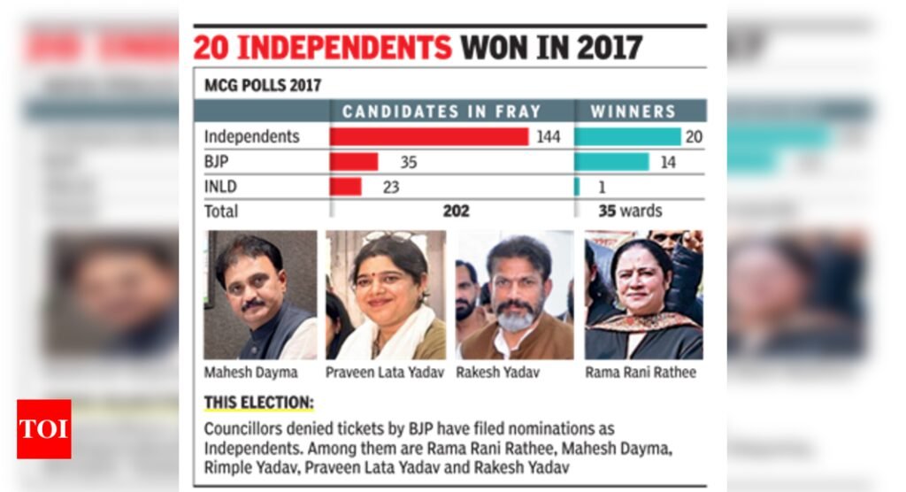 Denied tickets, many ex-councillors are back in the fray as Independents in Haryana