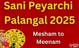 2025 Sani Peyarchi: Predictions for All 12 Zodiac Signs by Astrologer Adithya Guruji